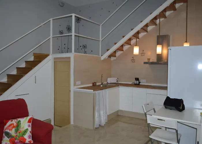 Duplex Daises